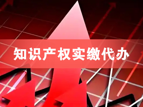 曲靖知识产权实缴资本代办